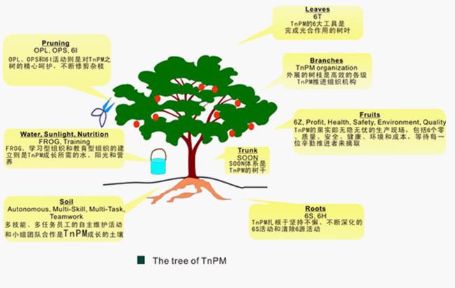 Image:TNPM3.jpg
